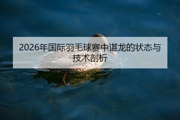 2026年国际羽毛球赛中谌龙的状态与技术剖析