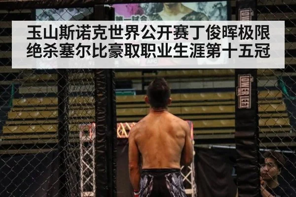 玉山斯诺克世界公开赛丁俊晖极限绝杀塞尔比豪取职业生涯第十五冠